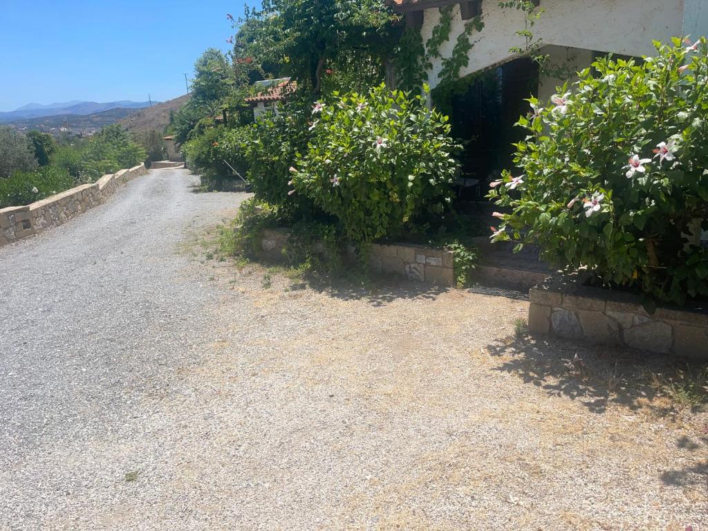 Villas Vista Del Mar - 19