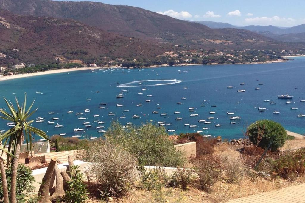 un groupe de bateaux dans une grande masse d'eau dans l'établissement Rez de villa, vue panoramique mer et montagne !, à Vico