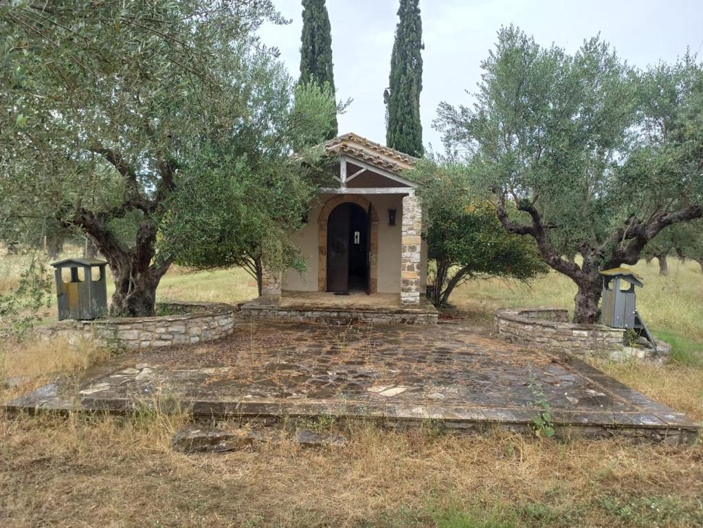 Zahrada ubytování Campo Elea - Messénia Guest House