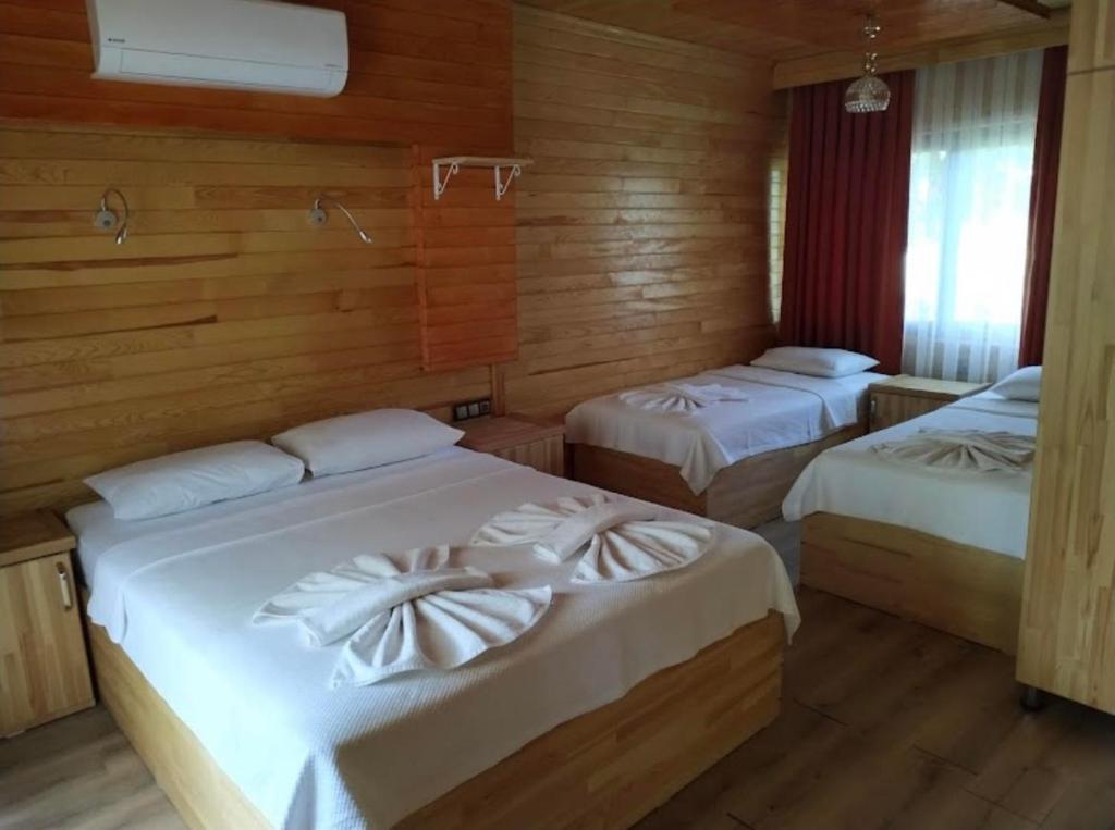 two beds in a room with wooden walls at Olympos Yavuz Hotel in Cıralı