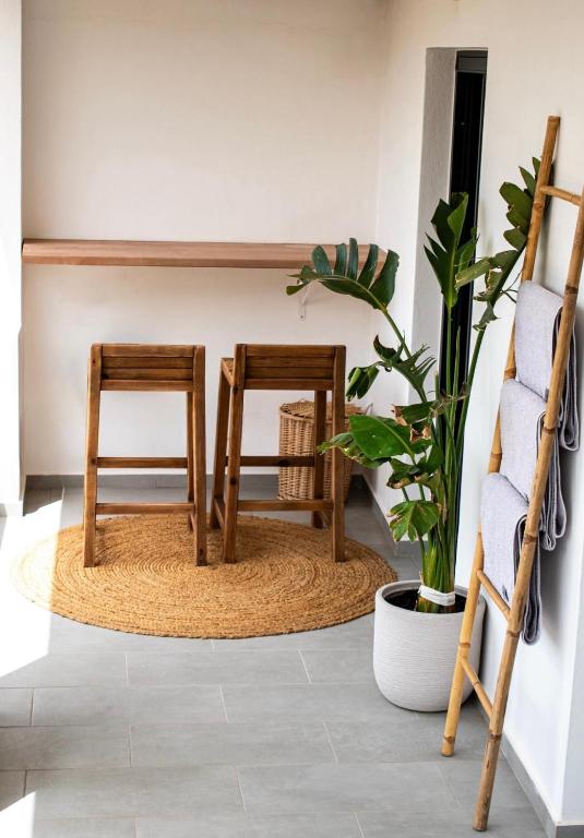 two chairs and a plant in a room at Vie rêvée luxury suites in Ganema
