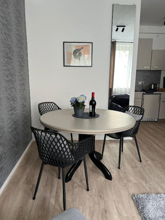 Kuchyň nebo kuchyňský kout v ubytování Alpha Rooms