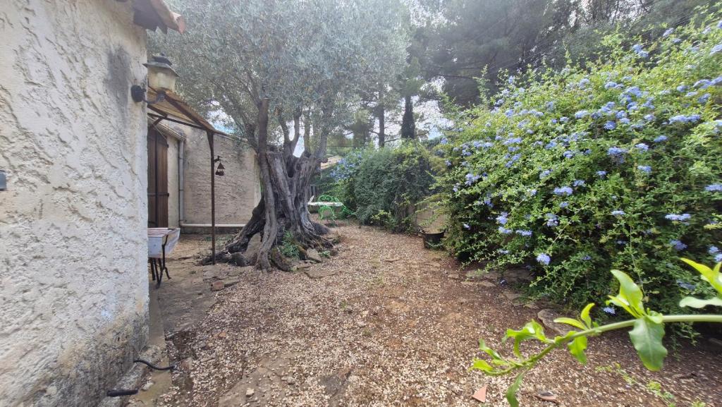 Ogród w obiekcie Maison familiale Jardin parking, 10 min plage, 1*