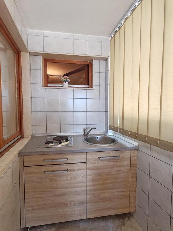 Kuchyň nebo kuchyňský kout v ubytování Apartments Lucerna