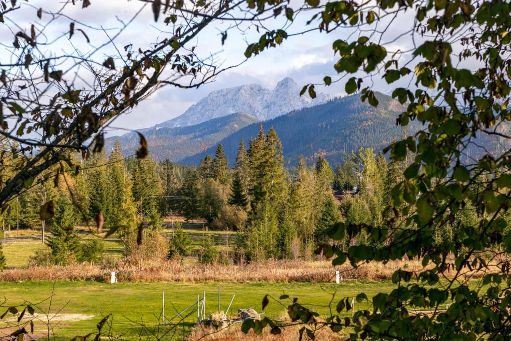 Leśniczówka u Zięby - 3