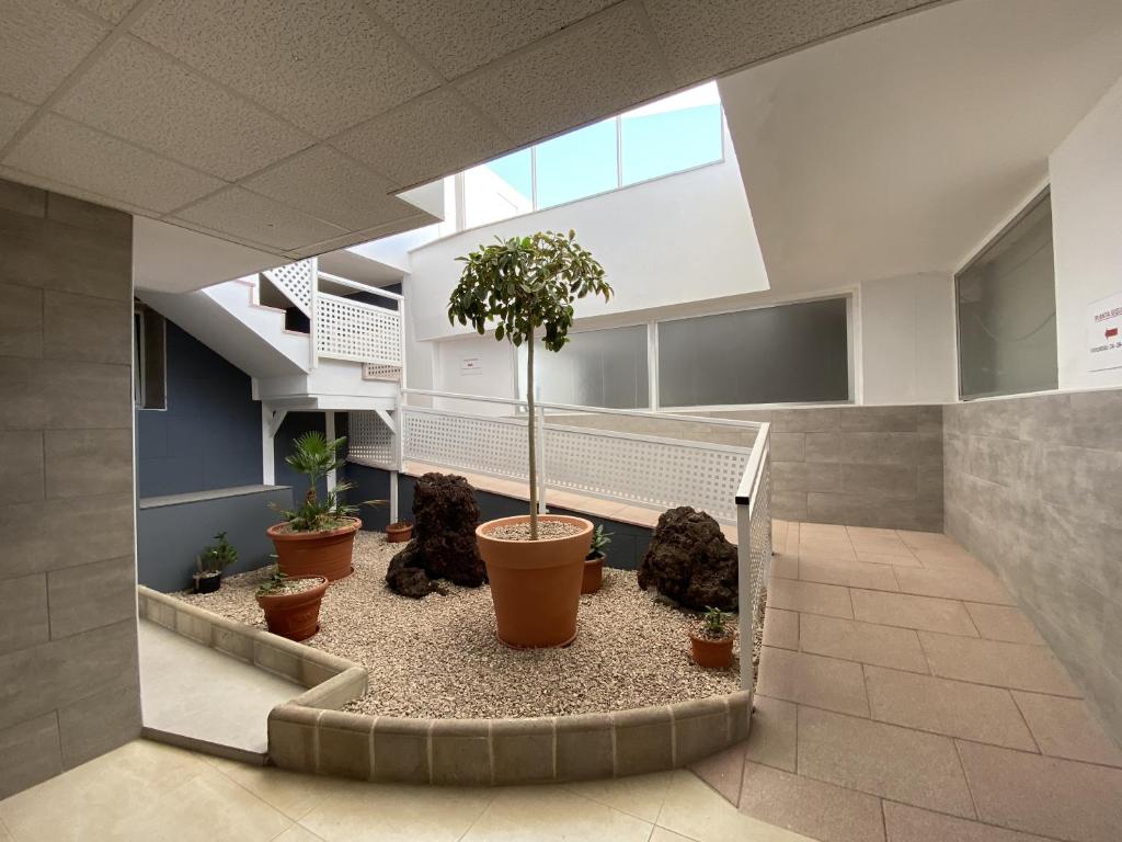 Fotografie z fotogalerie ubytování Edificio Prieto Vivienda 2D v destinaci Puerto del Rosario