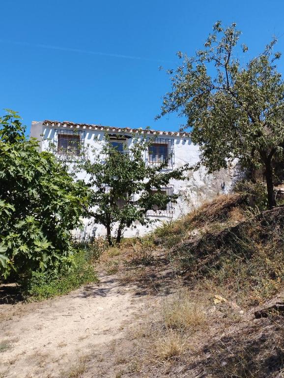 Kép Cortijo tranquilo, Albanchez, Almeria Province szállásáról Albánchez városában a galériában