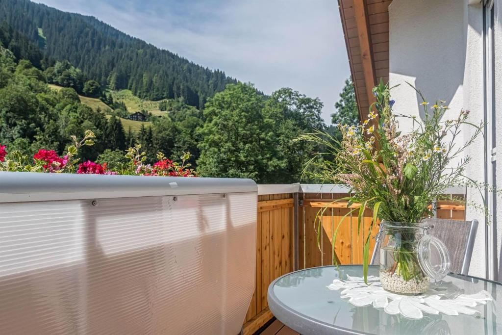 Výhľad na hory alebo výhľad na hory priamo z apartmánu