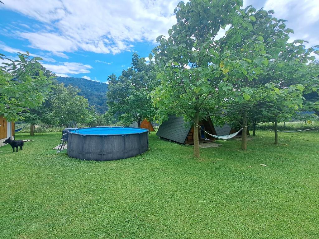 Příroda nedaleko luxury tent