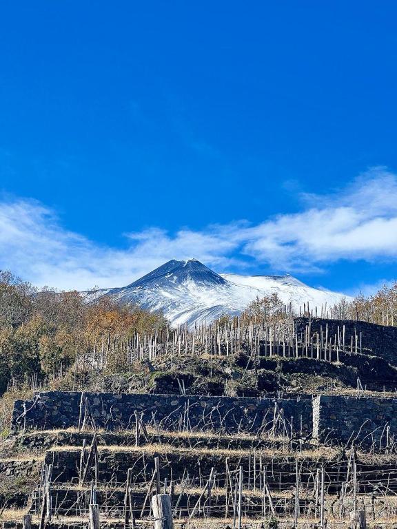 Vista generica sulle montagne o vista sulle montagne dall'interno dell'agriturismo