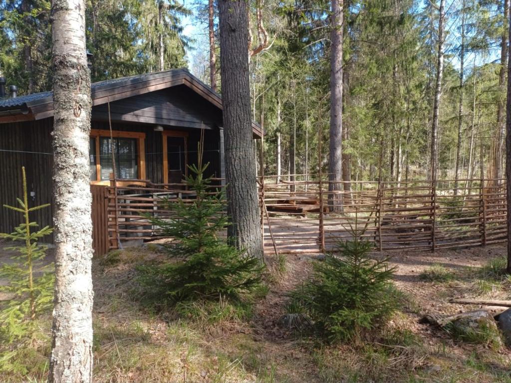 Accommodation and Fishing Vonkale - Cabaña Con Sauna (pulgar)