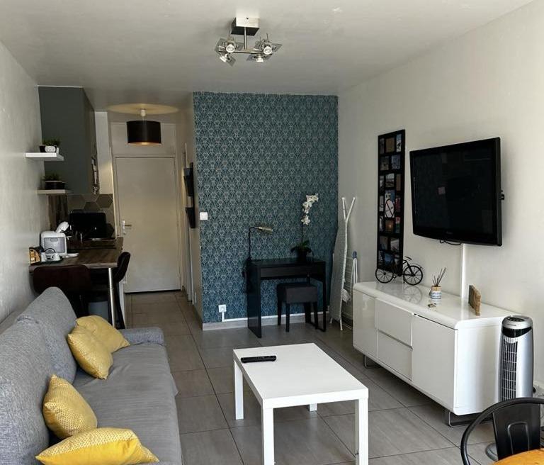 un salon avec un canapé et une télévision à écran plat dans l'établissement Cocon et bien-être en bord de mer, à La Grande Motte