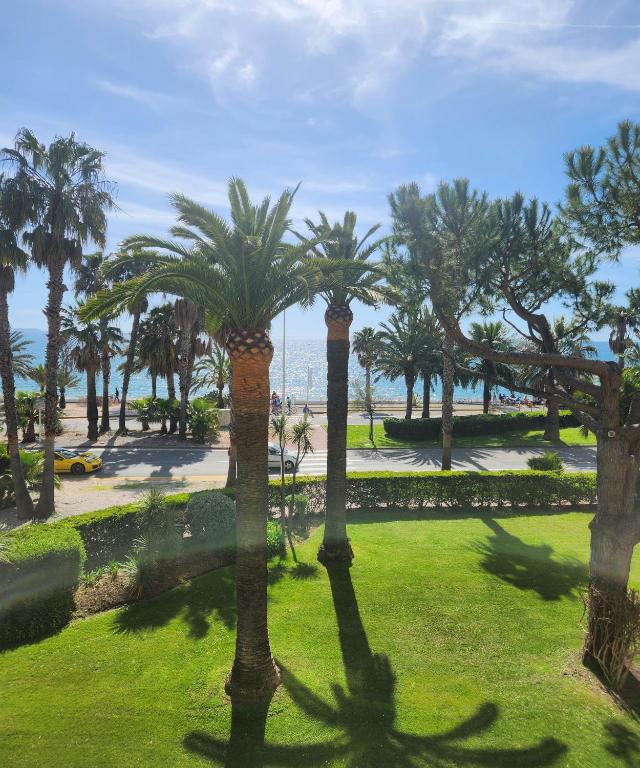 un groupe de palmiers dans un parc dans l'établissement CCI - Cannes Midi Front de Mer - LEC -, à Cannes
