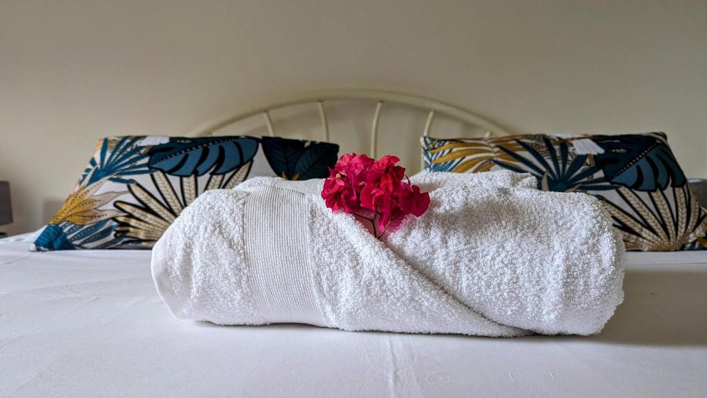 En eller flere senge i et værelse på Appartement Tropical Garden