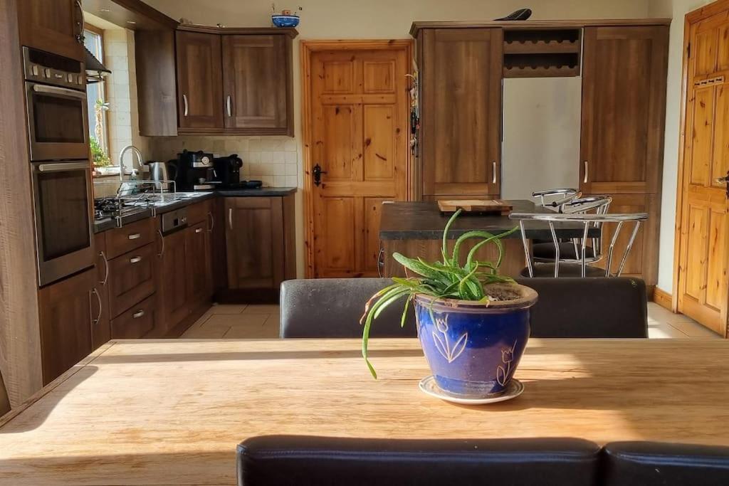a potted plant sitting on a wooden table in a kitchen at ocean fields view in Ahnagh Cross