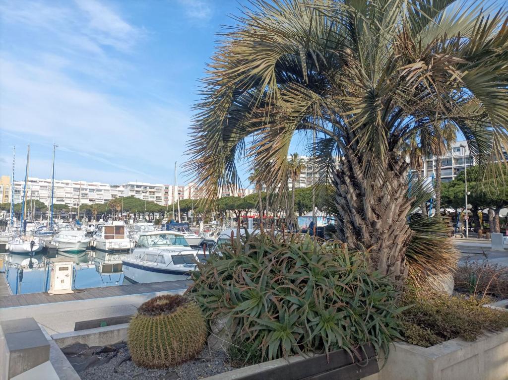 Fotografie z fotogalerie ubytování Studio port de plaisance v destinaci Mauguio