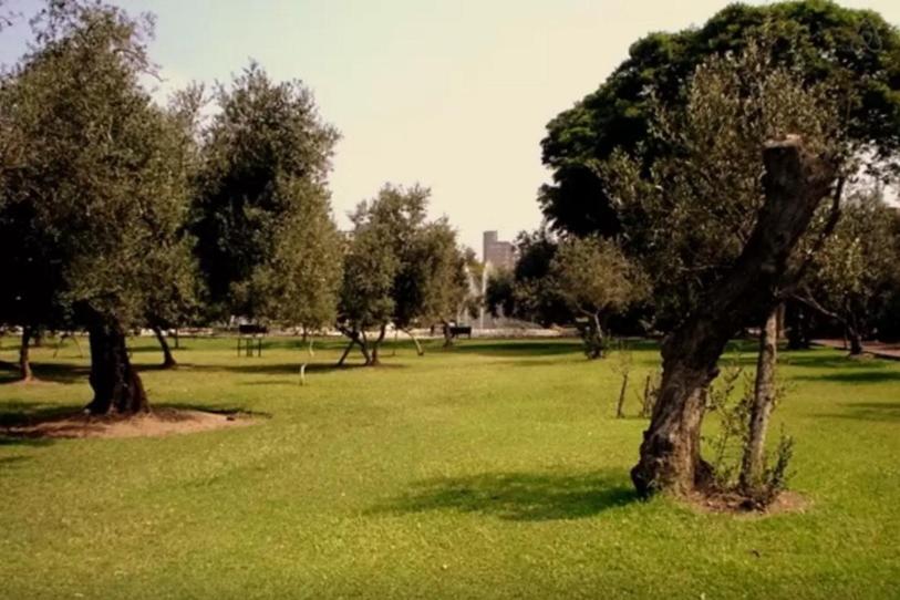 Zahrada ubytování B&B El Olivar