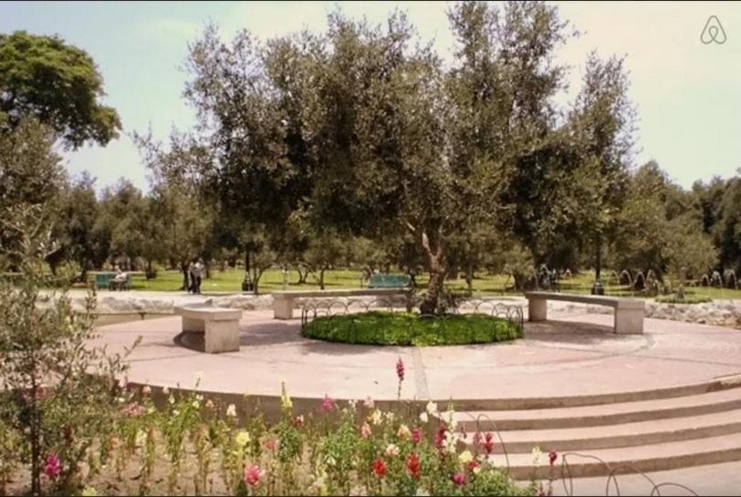 Zahrada ubytování B&B El Olivar