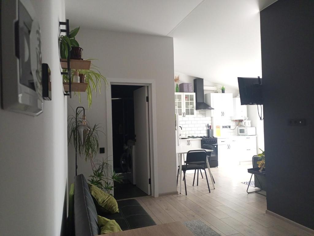 Kuchyň nebo kuchyňský kout v ubytování Apartment in Bozdosh estate