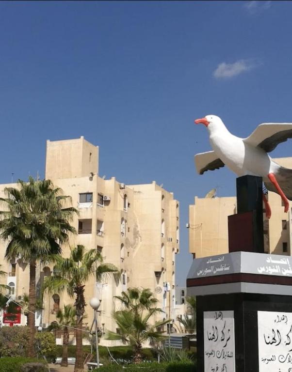 Fotografie z fotogalerie ubytování شاليهات الهنا 3 للايجار مصيف قرية النورس الاسماعيلية v destinaci Ismá'ílíja