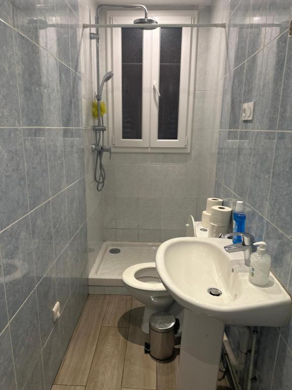 un bagno con lavandino, WC e doccia di Biriyani House a Bobigny