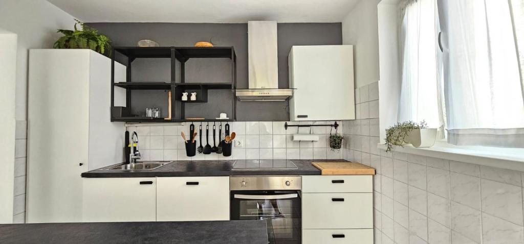 Kuchyňa alebo kuchynka v ubytovaní LUKA APARTMENT