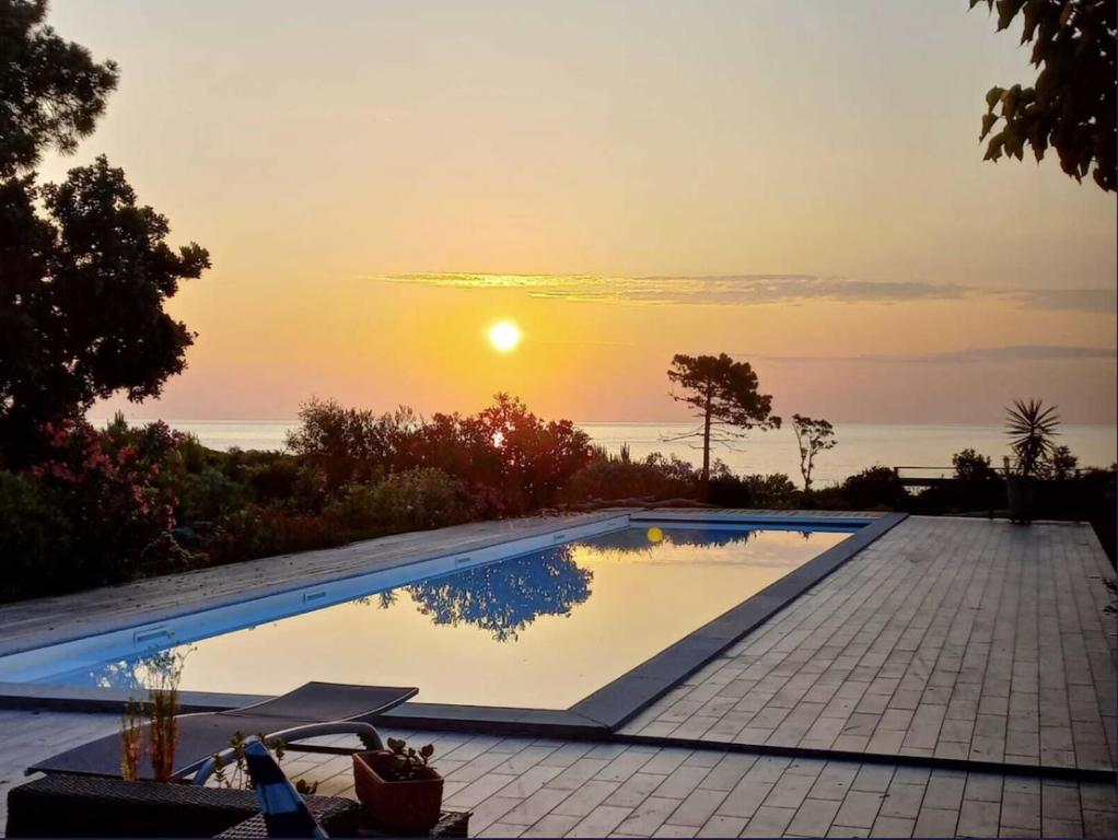 une piscine avec un coucher de soleil en arrière-plan dans l'établissement PIANICCIA-villa standing- pieds dans l'eau-piscine privée, à Sari-Solenzara