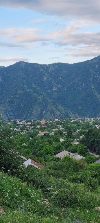 a view of a valley with mountains in the background at Hooni_guesthouse in Odzun