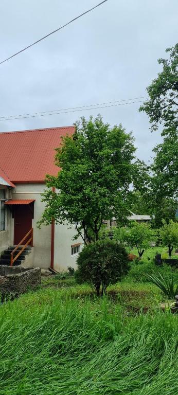 a house with a red roof and a field of grass at Hooni_guesthouse in Odzun