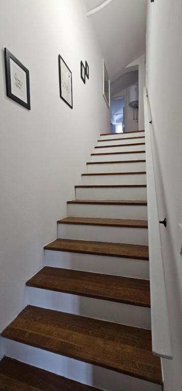 Fotografia z galérie ubytovania LUKA APARTMENT v destinácii Posedarje