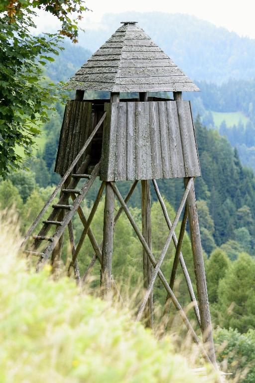 Příroda nedaleko farmy