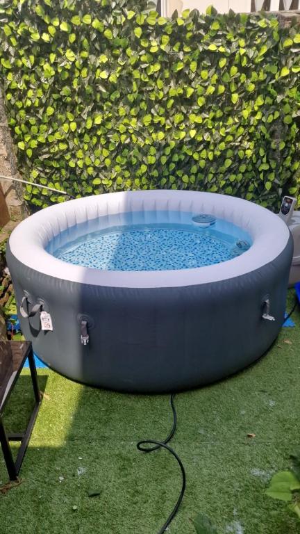 un bain à remous assis sur l'herbe devant un buisson dans l'établissement ++++ STUDIO AVEC JARDIN A 200 M DE LA MER ET 300 M RUE PIETONNE ++++, à Berck-sur-Mer