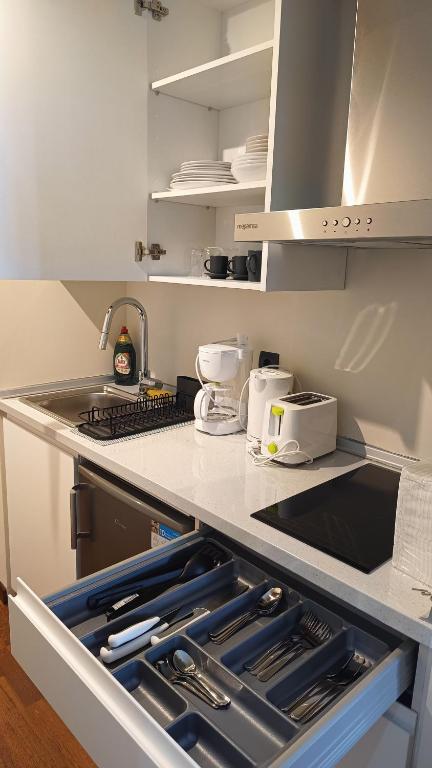 Kuchyň nebo kuchyňský kout v ubytování Hotel Suite Camarena