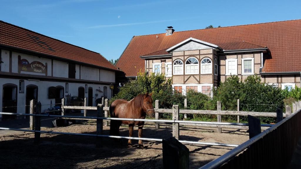 a brown horse standing in front of a fence at Ferienhof Hanum in Hanum