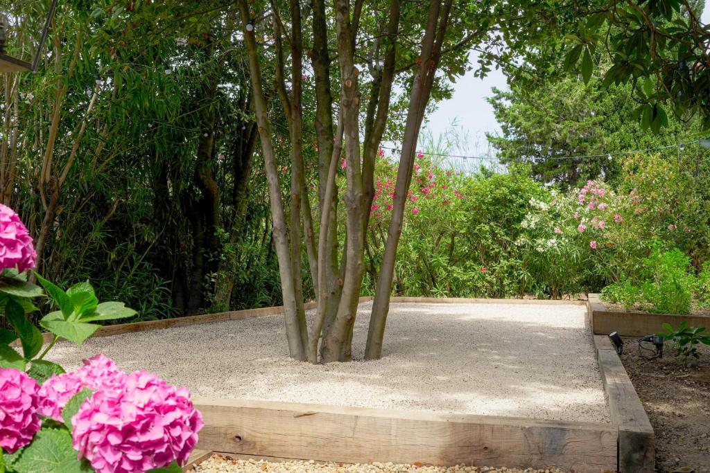 a group of trees in a garden with pink flowers at Hôtel La Figuière in Saint-Tropez