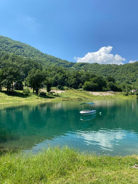 a boat sitting in the middle of a lake at Apartman Plužine in Plužine