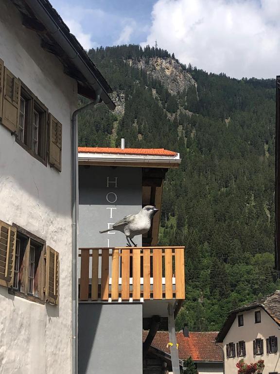 Nespecifikovaný výhled na hory nebo výhled na hory při pohledu z aparthotelu