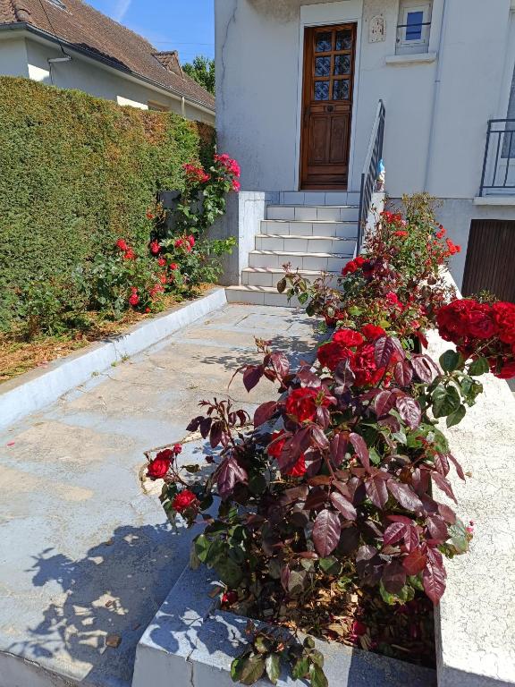 une plante devant une maison avec des roses rouges dans l'établissement La Maison de LULU proche baie de Somme, à Eu