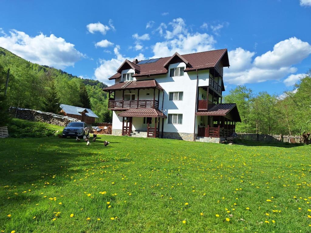 a house on a grassy field in front at Sătic Casa Maria in Satic