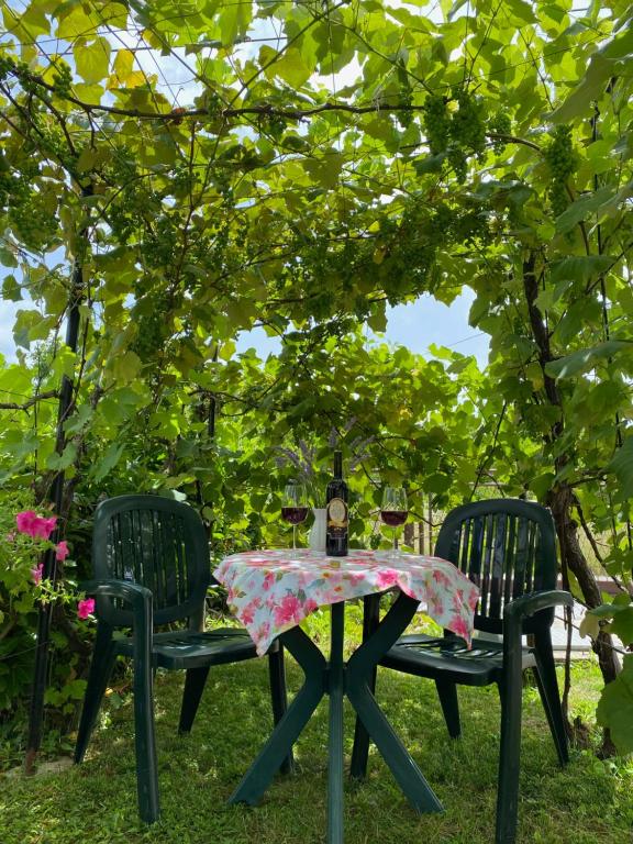 Studio apartment Adrijana - 7