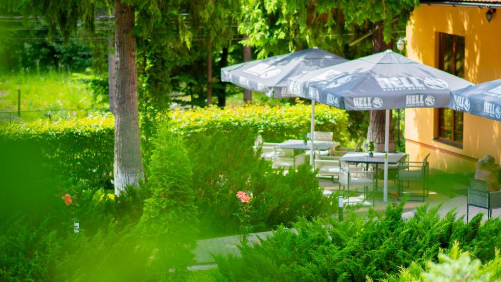 Zahrada ubytování Vila Parc