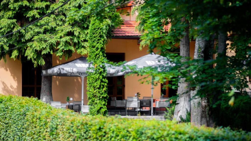 Zahrada ubytování Vila Parc