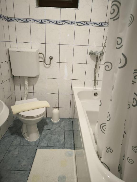 Kúpeľňa v ubytovaní Apartman Mihaela