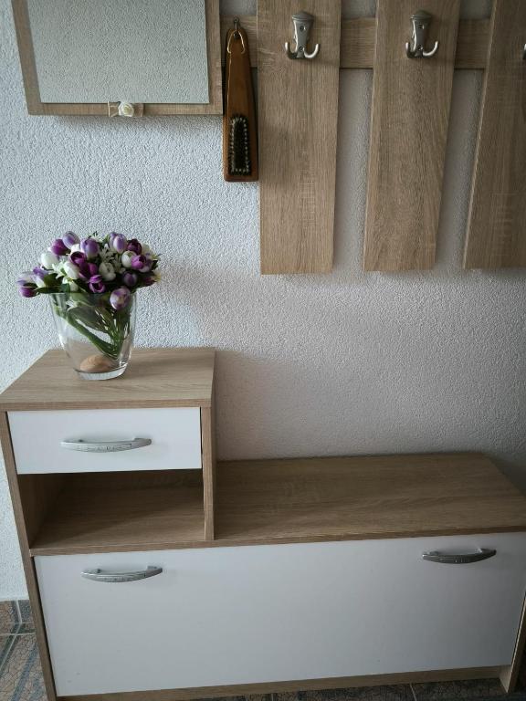 Fotografia z galérie ubytovania Apartman Mihaela v destinácii Gornji Karin