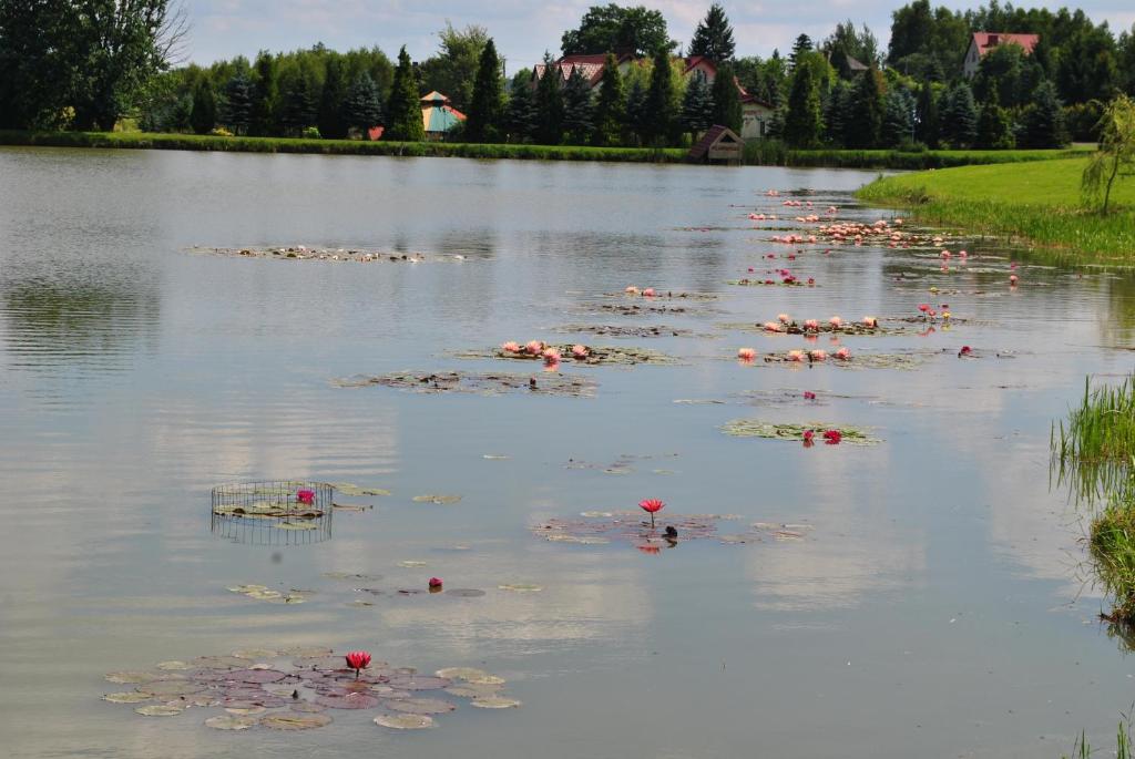 Výhled na řeku, která protéká v blízkosti farmy