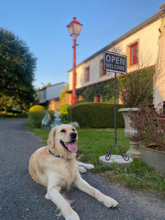 Domáce zviera alebo zvieratá hostí v ubytovaní Aldea A Paínza