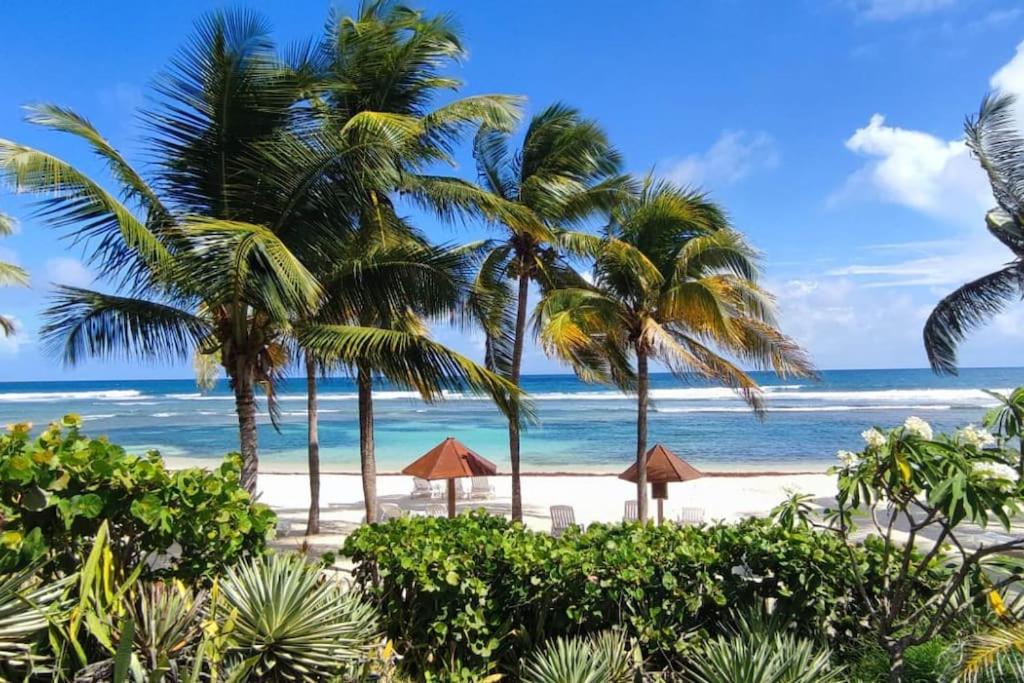 a beach with palm trees and the ocean at Le Colibri du Paradis in Sainte-Anne