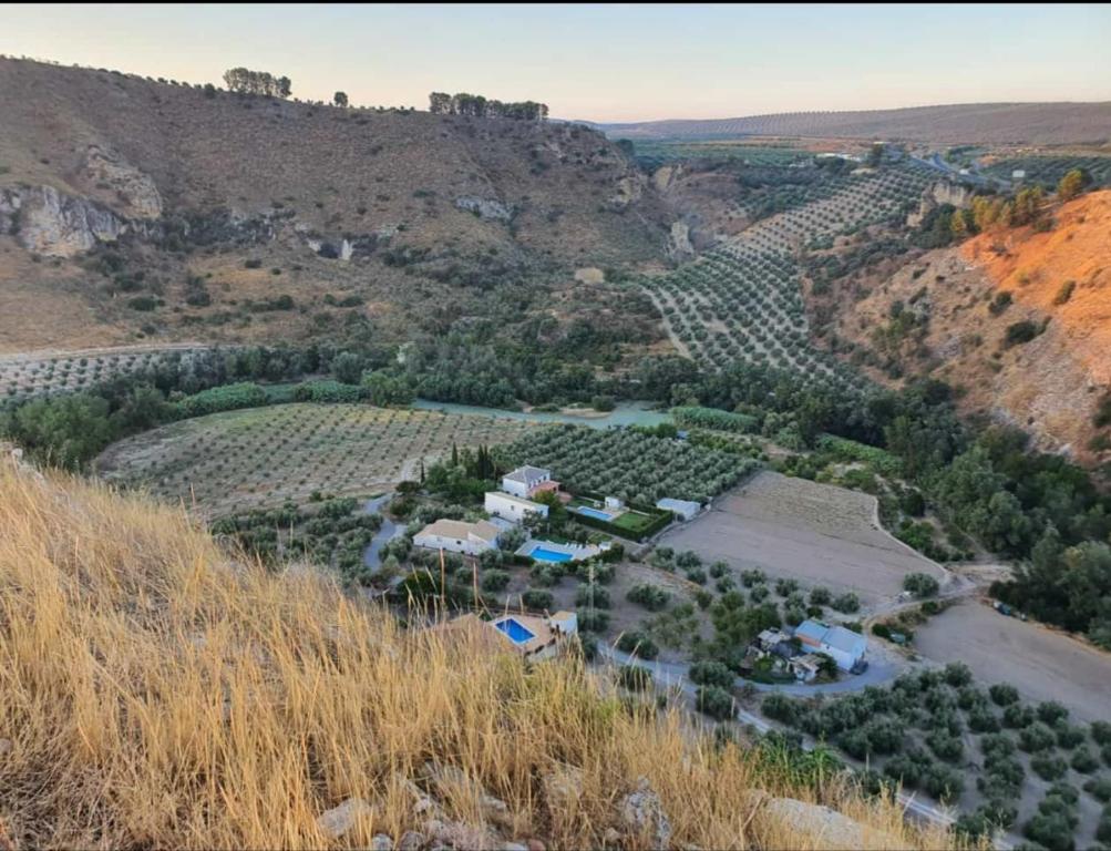 une vue aérienne d'un vignoble sur une colline dans l'établissement Casa rural Huertas del Castillo, à Benamejí