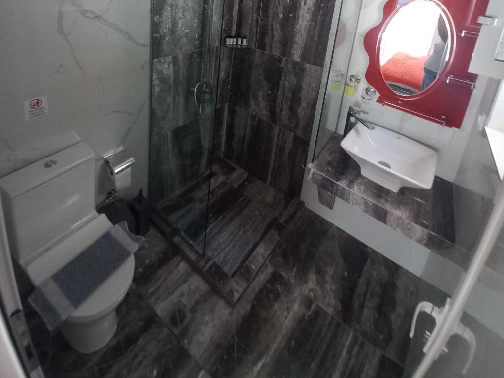 a bathroom with a toilet and a sink and a mirror at House Blerina in Sarti