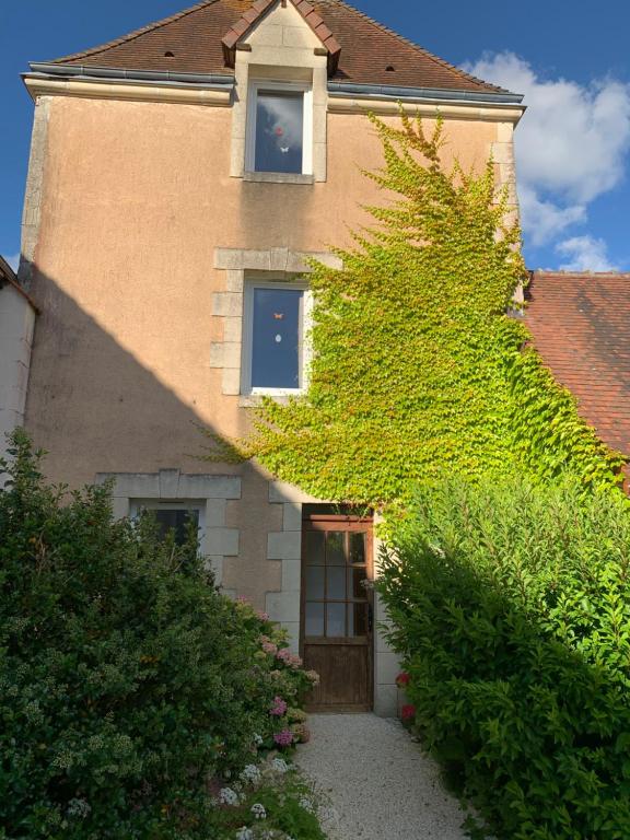 Cette maison recouverte de lierre dispose d'une porte et de fenêtres. dans l'établissement Les chambres perchées de Boece, à Boëcé